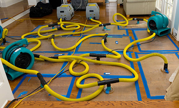 Professional Storm Water Damage Restoration technician working in Caro, MI