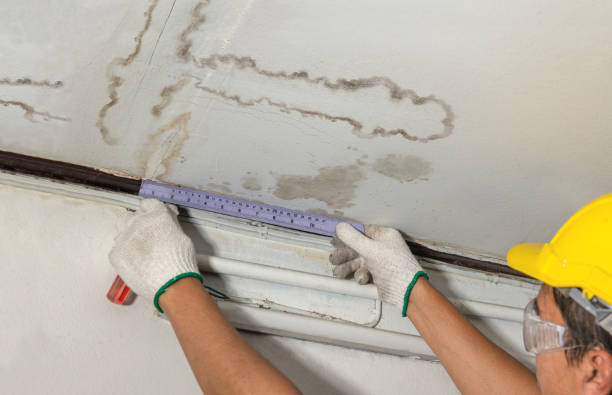 Affordable Water Damage Repair solutions in Caro, MI